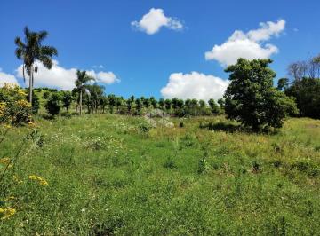 Rural · 24341m² · Sítio Escriturado na Linha Barão de Cotegipe