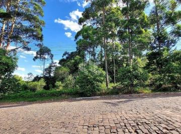 Terreno · 4740m² · Terreno comercial em Tamandaré