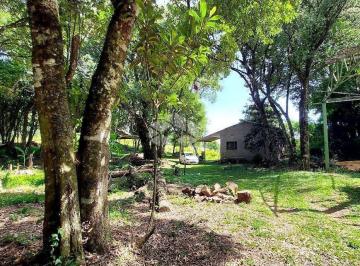Rural · 29000m² · Área rural em Santa Lucia Vale dos vinhedos