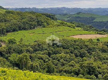 Rural · 65000m² · Área de terra de 6.5 hectares no interior de Monte Belo do Sul