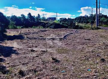 Terreno · 415m² · Terreno de 418,18m2 no Bairro Santa Isabel em São Francisco de Paula