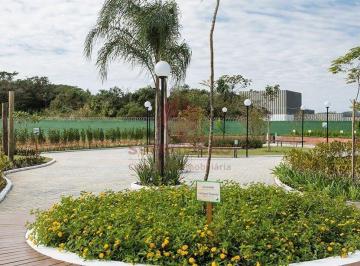 Terreno · 360m² · Terreno à venda - no Sertão do Maruim