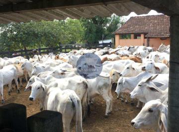 Imagem 1 · Fazenda