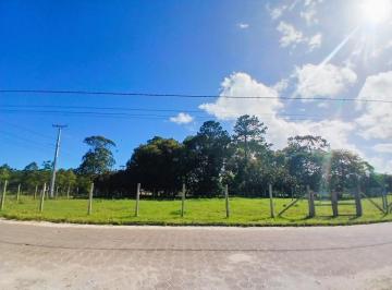 202511121126308446.jpg · Terreno à venda no bairro Caverazinho em Araranguá/SC
