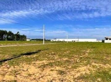 202507041530408437.jpg · Terreno à venda no bairro Coloninha em Araranguá/SC