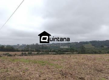 Rural · 240000m² · Sítio de 24 hectares no Morro Redondo