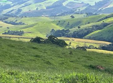 Foto 01 · Fazenda com 58 alqueires (1.403.000 m2), na cidade de Socorro/SP
