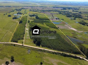 Rural · 500000m² · 2 Quartos · 1 Vaga · Venda de 50 hectares em Rio grande RS no Povo Novo