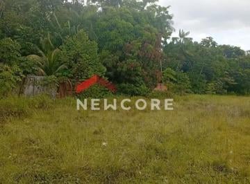 Terreno · 4200m² · Lote em Rodovia Augusto Montenegro - Agulha (Icoaraci) - Belém/PA