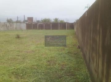 Foto 01 · Terreno à venda em Itanhaém-SP, bairro Cibrarel, com 1.000,00 m² de área!