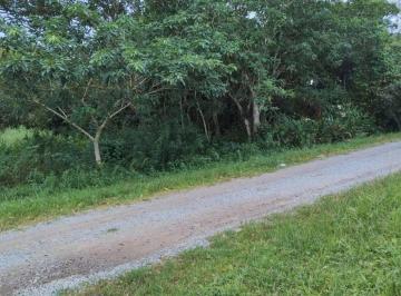 Terreno , Itanhaém · Terreno com escritura em Itanhaém - R$ 60.000,00.
