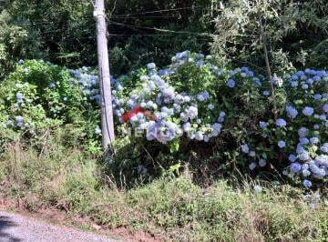 Terreno · 1028m² · Lote em Genebra - São Bernardo - São Francisco de Paula/RS
