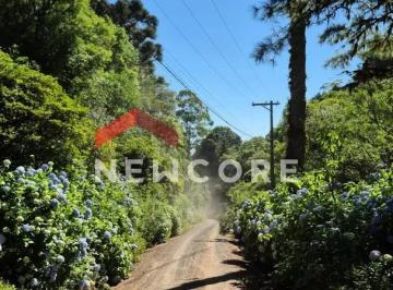 Terreno 1028m² Venda São Bernardo · Lote em Genebra - São Bernardo - São Francisco de Paula/RS