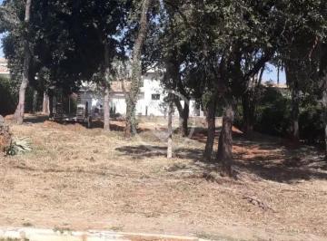 WhatsApp Image 2025-12-27 at 13.46.11.jpeg · Lote 1.000m - Condados do Boungainville Lagoa Santa