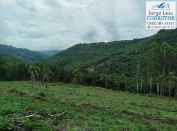 Rural , Nova Petrópolis · Área/sítio com arroio