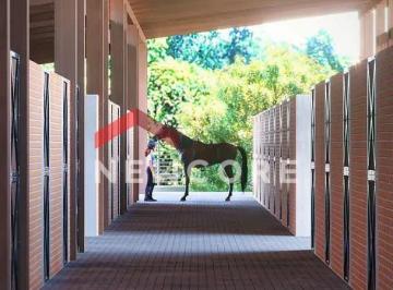 Rural · 619m² · 4 Quartos · 3 Vagas · Sítio em  Área Rural - Área Rural de Camboriú - Camboriú/SC