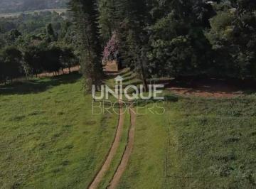 Casa · 20000m² · 3 Quartos · 10 Vagas · Sítio com 3 quartos à Venda, Rio Abaixo - Jarinu
