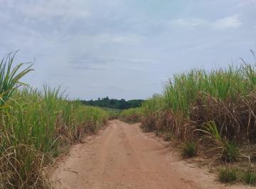 202509301019179991.jpeg · Sítio para Venda em Cajuru, RURAL
