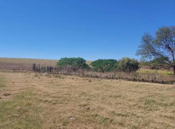 20251008103709835.jpg · Fazenda para Venda em São José do Rio Pardo, RURAL