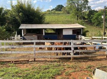 202508212200256850.jpg · Sítio para Venda em Monte Santo de Minas, RURAL