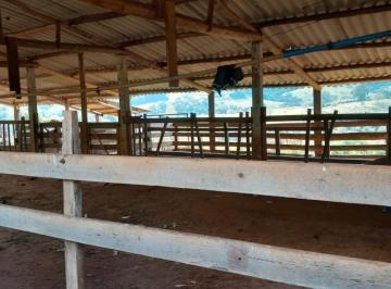 202508220954276216.jpeg · Sítio para Venda em São Sebastião do Paraíso, RURAL