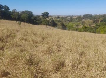 202507311604586697.jpg · Sítio para Venda em Monte Santo de Minas, RURAL
