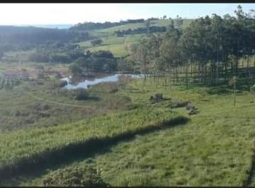 202507291559075052.jpeg · Fazenda para Venda em Mococa, RURAL