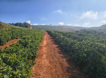 202507311412584706.jpg · Fazenda para Venda em Guaxupé, RURAL