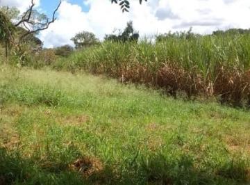 202507251731246347.jpg · Sítio para Venda em Ribeirão Bonito, RURAL