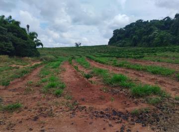 202507241551486974.jpeg · Sítio para Venda em Cássia dos Coqueiros, RURAL