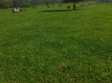 202507241747117274.jpg · Sítio para Venda em Monte Santo de Minas, RURAL