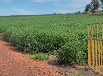 202507081536281640.jpeg · Fazenda para Venda em Santa Rita do Passa Quatro, RURAL