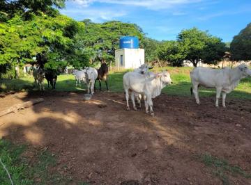 202507021513053376.jpeg · Fazenda para Venda em Santa Rosa de Viterbo, RURAL