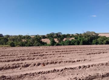 202507021546535374.jpeg · Sítio para Venda em Cajuru, RURAL
