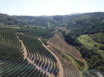 202508271147005851.jpeg · Fazenda para Venda em Caconde, RURAL