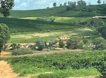 202508281726323380.jpeg · Fazenda para Venda em Caconde, RURAL