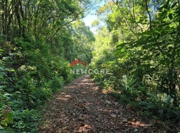 Terreno · 129000m² · Lote em Rolantinho da Areia - Samambaia - São Francisco de Paula/RS