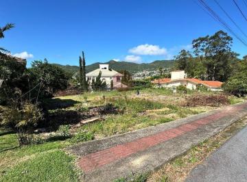 IMG_9900 · Terreno à venda - em João Paulo