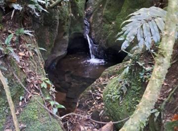 Rural , Bom Jardim de Minas · Chácara 10.000 m