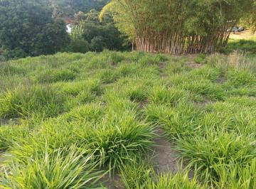 Terreno , Moeda · TERRENO PRÓXIMO DO CENTRO DE MOEDA 12 MIL M2