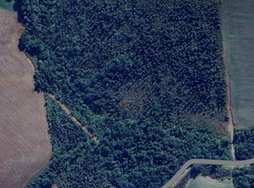 202501251731513860.jpg · Terreno Rural para Venda em Prudentópolis, Zona Rural