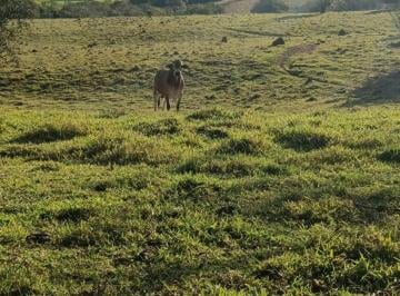 Rural , Tatuí · Sítio em Tatuí