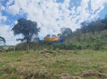 jrmjzx2yjzabbsdug39ceivliiyywgongyhg5gxw0u2otvhzdq1owvlyzdl_md · Sitio em Urubici - SC 4 hectares com araucárias ótimo preço.. R$260.000,00