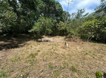 Terreno · 785m² · Lote frente ao mar na praia do Félix, Ubatuba