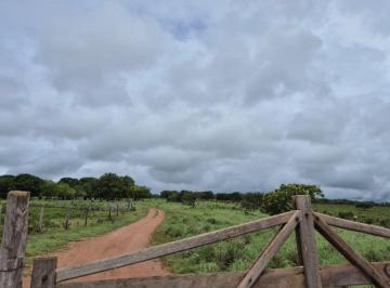Rural de 4 quartos, Padre Bernardo · Fazenda – Trajanópolis, Padre Bernardo/GO