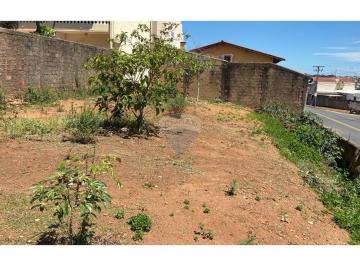 Terreno · 312m² · 12 Vagas · Excelente Oportunidade Lote Plano de 310 m² no Jardim dos Manacás - Valinhos/SP