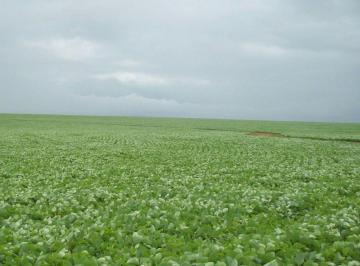 Rural , Conceição do Araguaia · FAZENDA EM SANTANA DO ARAGUIA - PARÁ
