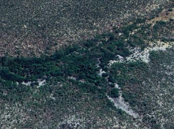Rural en Venda · Brejo de Cima - Área Rural com Mata Nativa