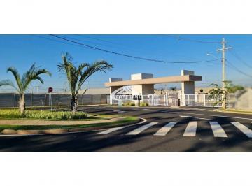 Casa · CASA BADY BASSITT - SP