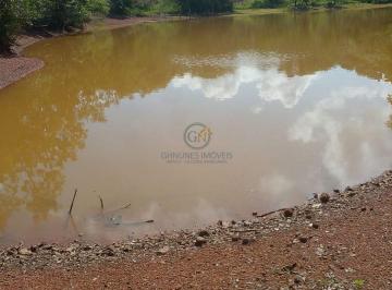 Propriedade com disponibilidade hídrica para dessedentação animal e potencial para irrigação. · Fazenda 684 ha em Palmeirais-PI: 2km do Asfalto e Doc OK